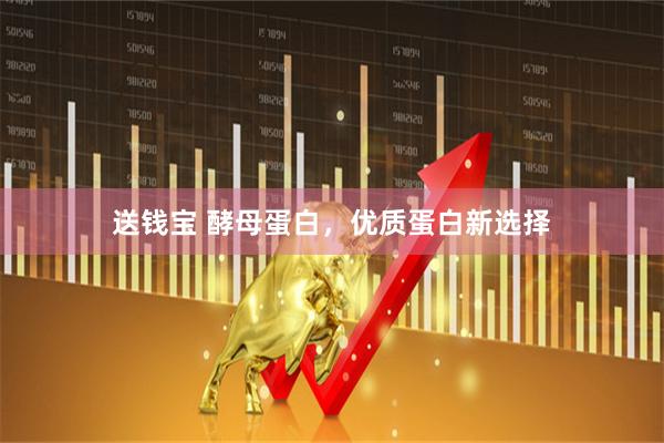 送钱宝 酵母蛋白，优质蛋白新选择