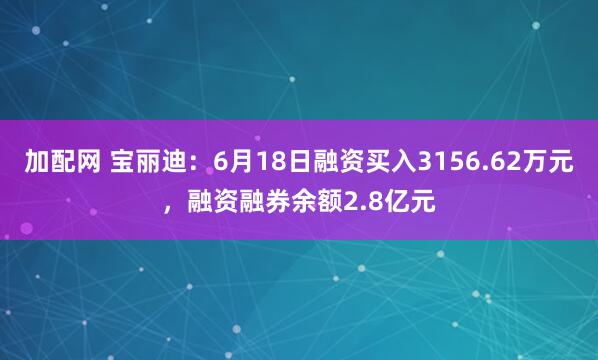 加配网 宝丽迪：6月18日融资买入3156.62万元，融资融券余额2.8亿元