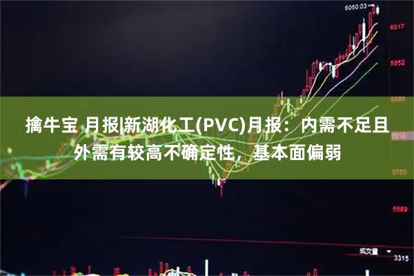 擒牛宝 月报|新湖化工(PVC)月报：内需不足且外需有较高不确定性，基本面偏弱