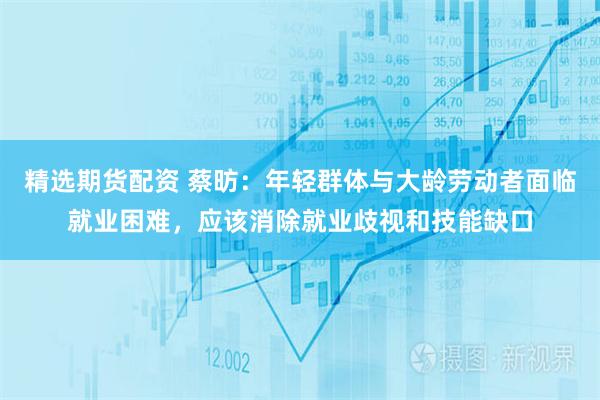 精选期货配资 蔡昉：年轻群体与大龄劳动者面临就业困难，应该消除就业歧视和技能缺口
