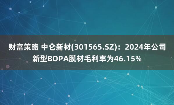 财富策略 中仑新材(301565.SZ)：2024年公司新型BOPA膜材毛利率为46.15%