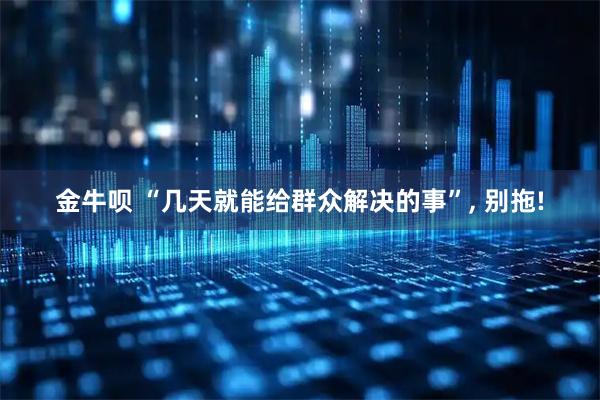 金牛呗 “几天就能给群众解决的事”, 别拖!