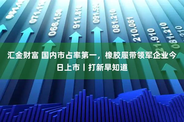 汇金财富 国内市占率第一，橡胶履带领军企业今日上市丨打新早知道